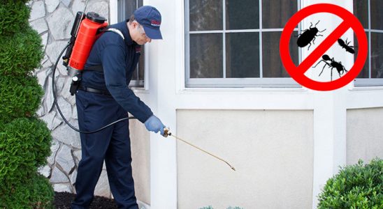Muradiye Dezenfeksiyon böcek ilaçlama ve haşere kontrolü — ilaclama-tr.com